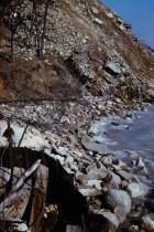 Debris along the beach